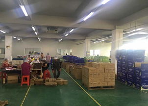 聚壹生物 商丘洗衣片代加工與信息咨詢服務(wù)專家